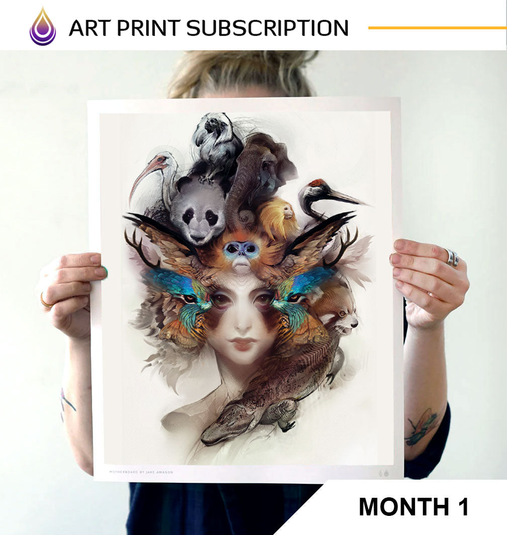 Vision Syndicate Monthly Art Subscription - 14 x 17 inches