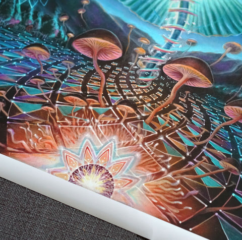 Genesis Matte Print by Morgan Mandala x Peter Westermann