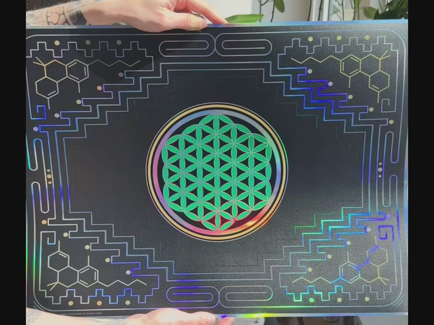 Cosmic Cannabinoid Embossed Holo Print by Melanie Farris